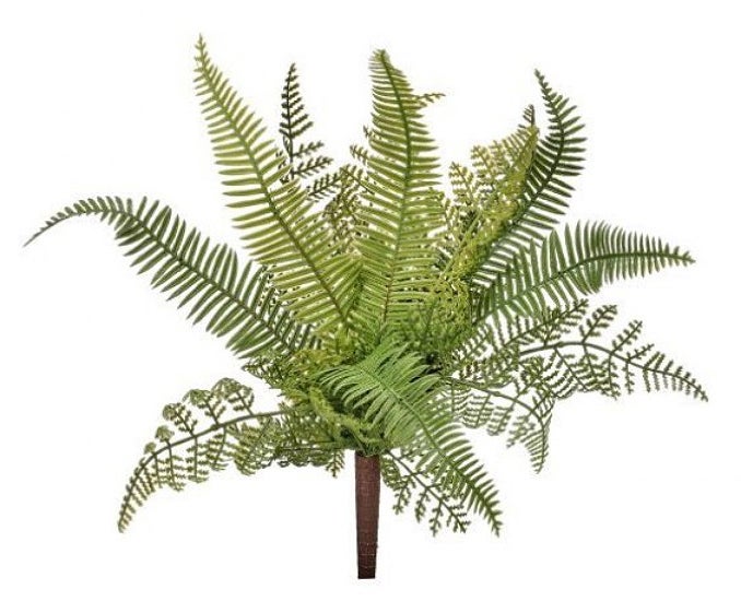 Natural Touch Mixed Fern Plant - Will's Company